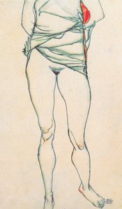 Torso féminin avec chemise relevée